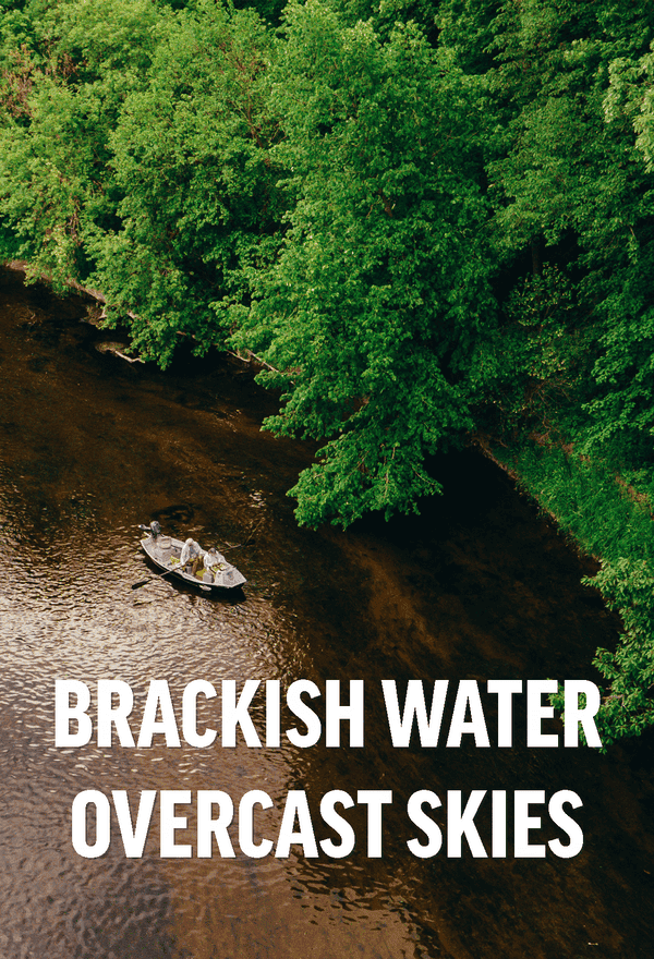 BRACKISH