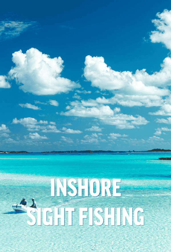 INSHORE