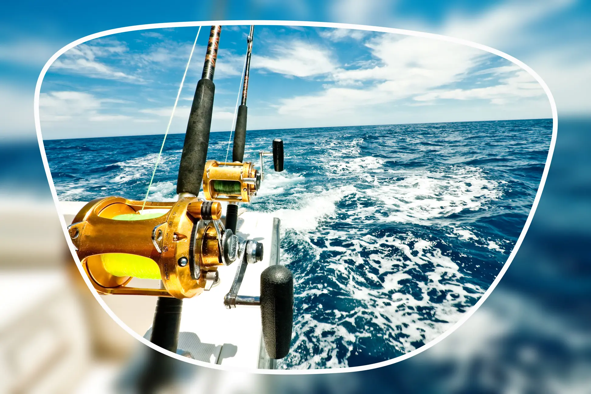 Single Vision Lens Product